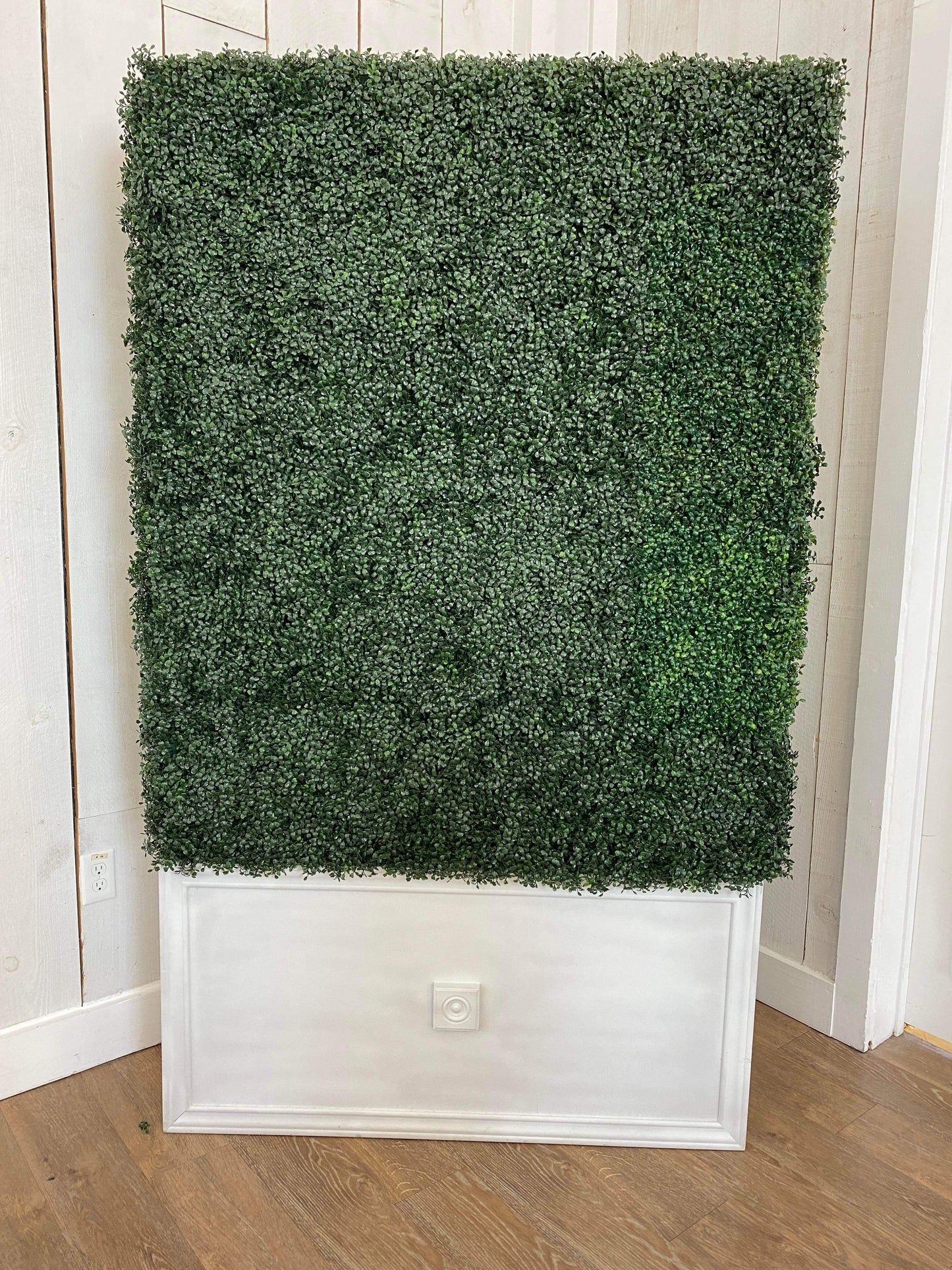 Boxwood Wall